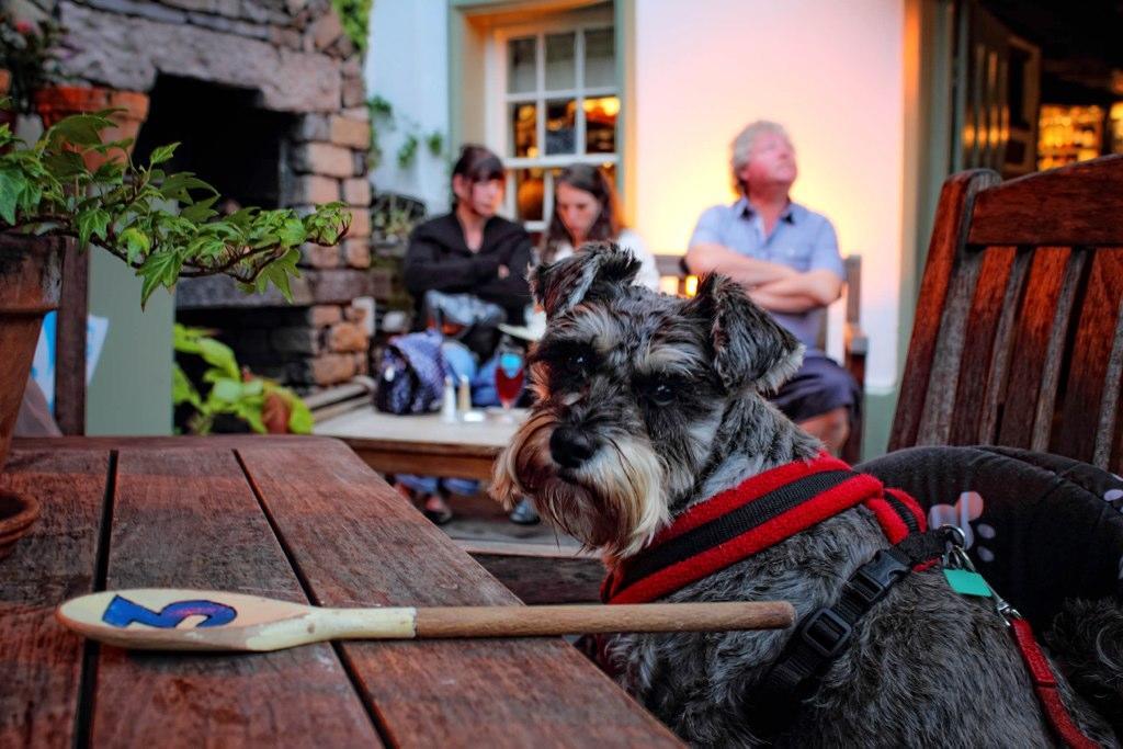 Mason'S Arms Bowland Bridge Exterior foto